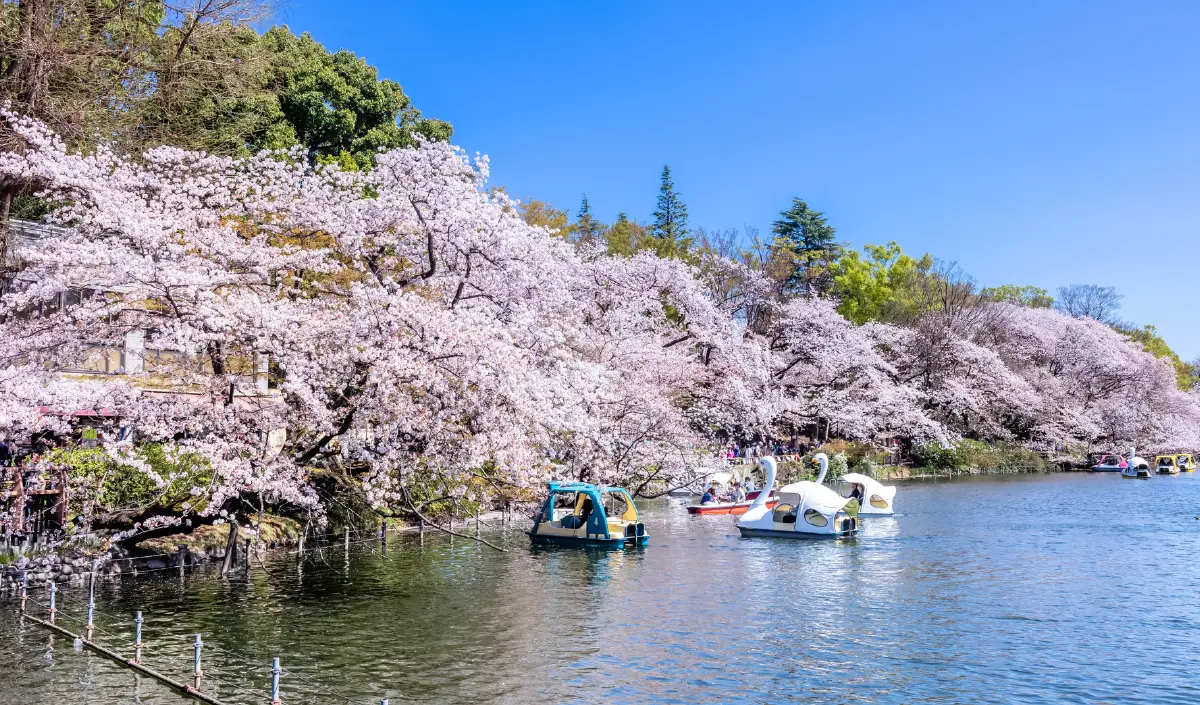 井の頭恩賜公園