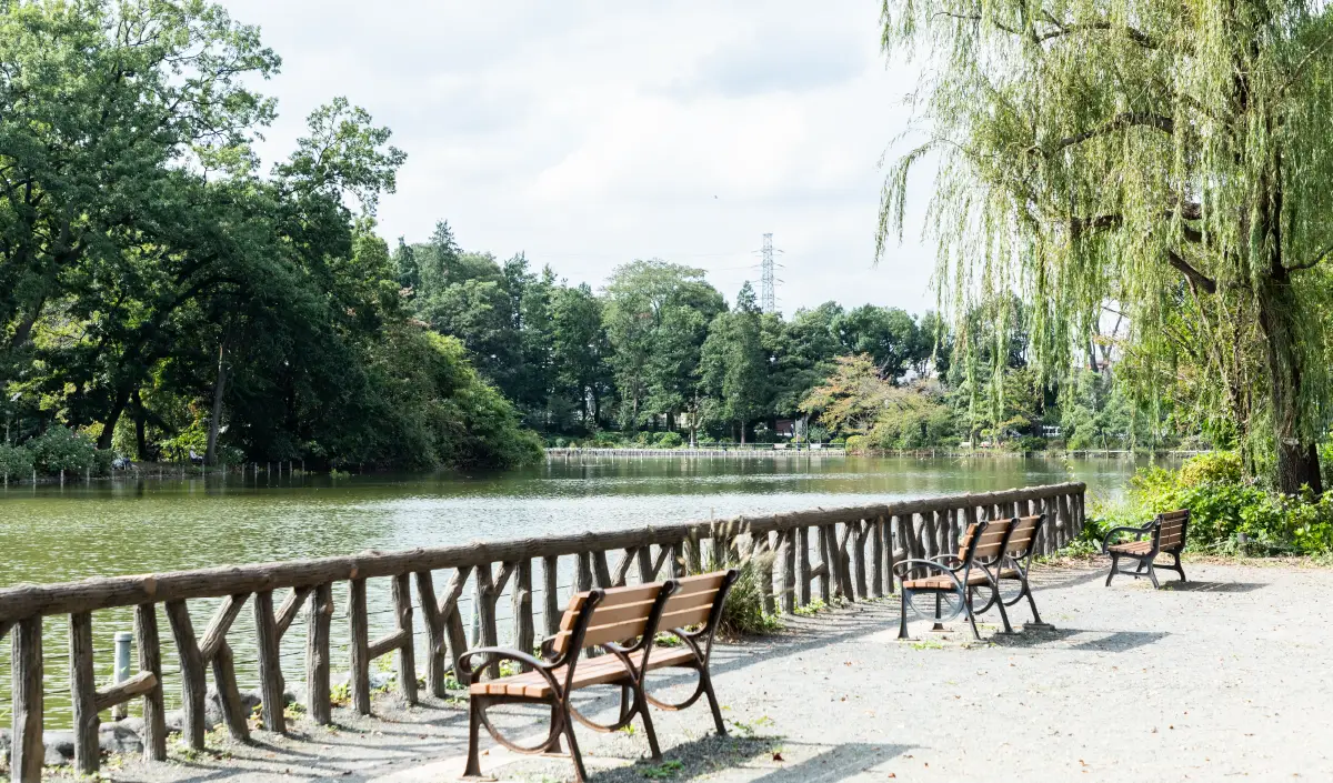 善福寺公園