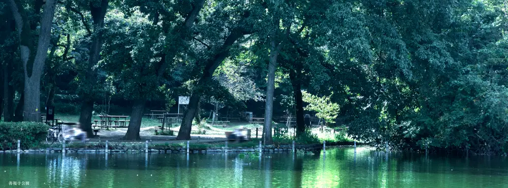 善福寺公園