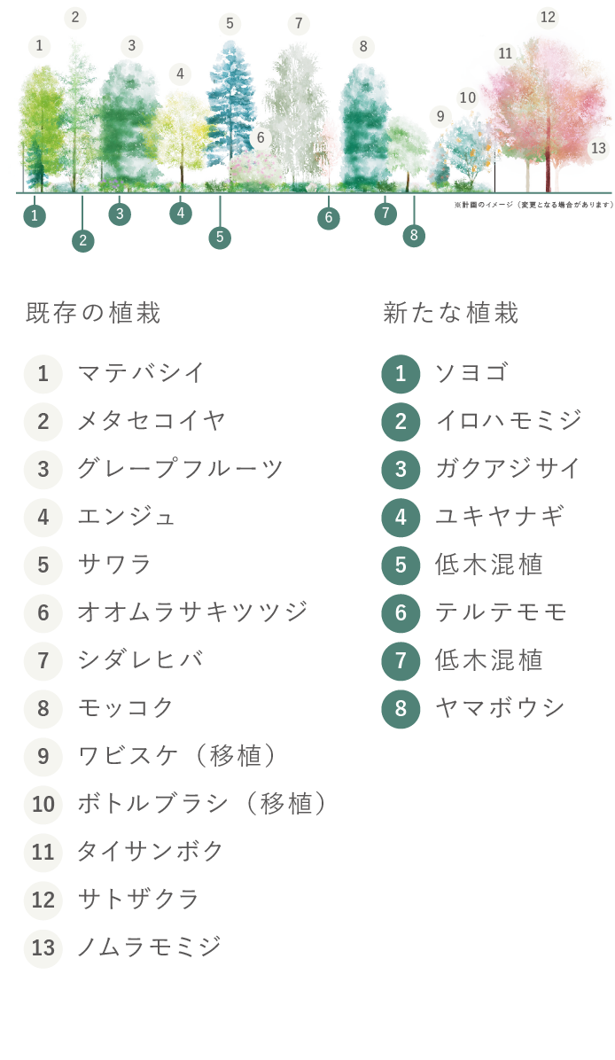 植栽