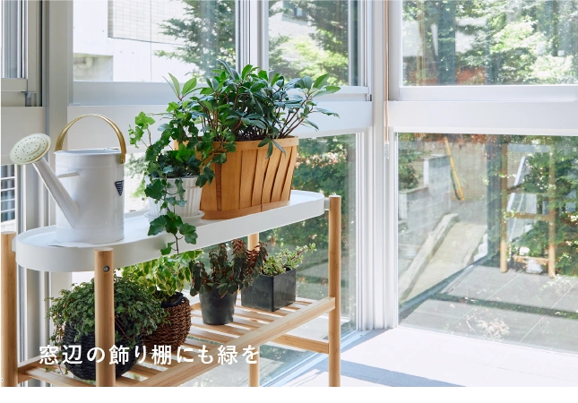 窓辺の飾り棚にも緑を